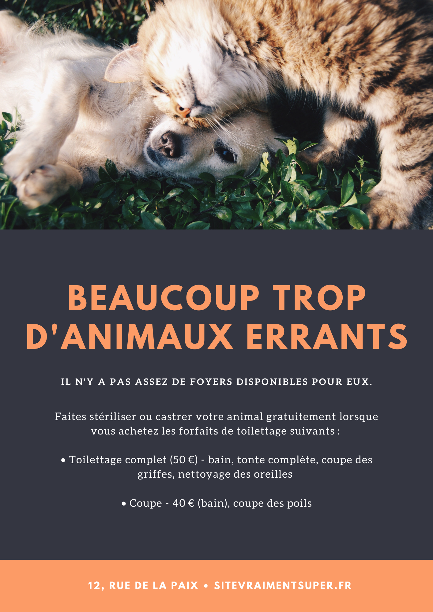 photo principale du batiment